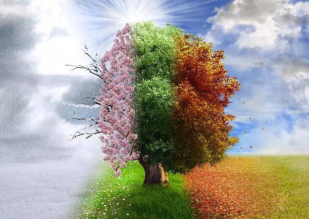 Seasonal